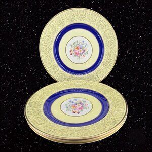 JOHNSON BROTHERS England Pareek Plates  Floral Center Set 4 Round Ceramic 10.25"